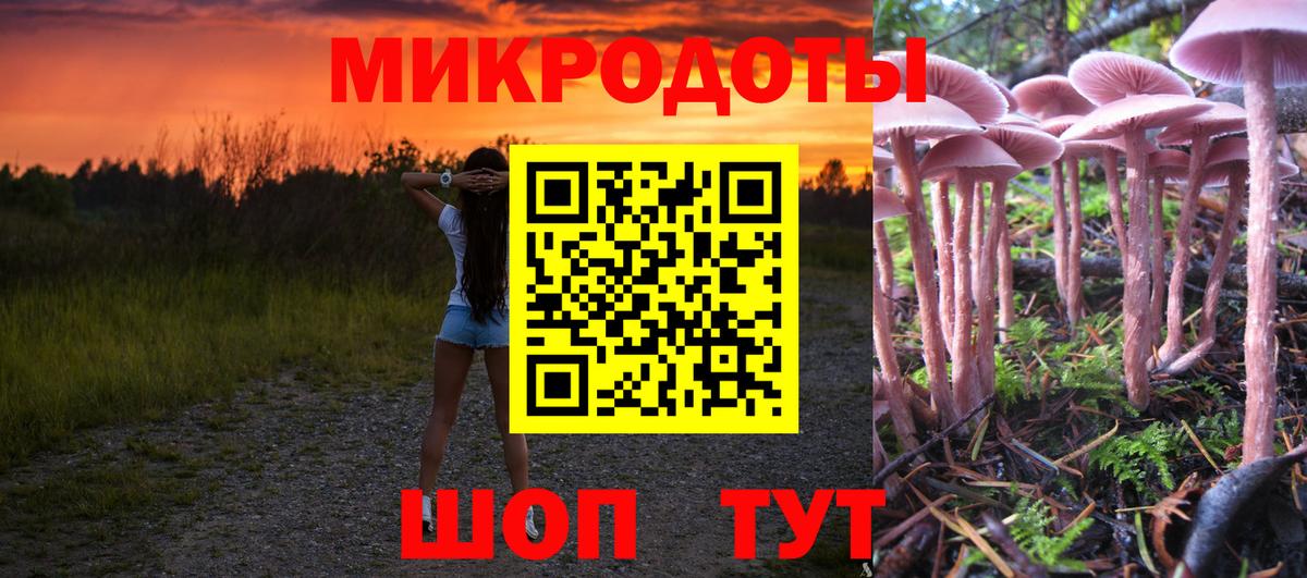 Галлюциногенные грибы GOLDEN TEACHER Рязань